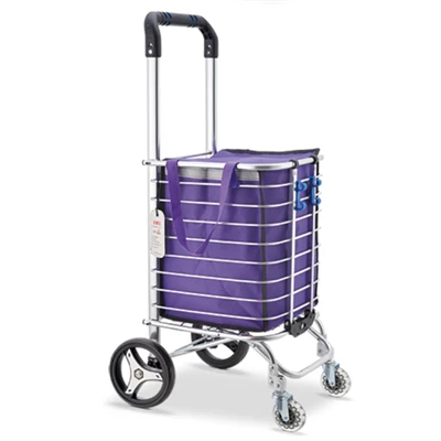 Carritos de compras individuales
